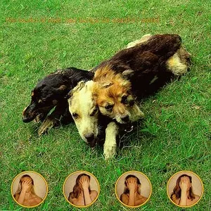 Ten songs for another world